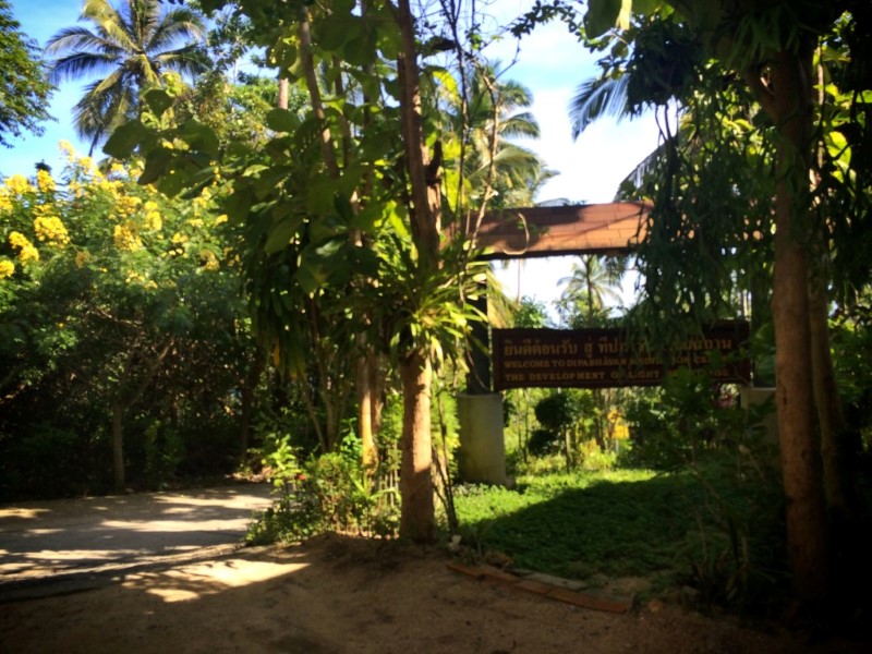 Медитационный центр на острове Самуи