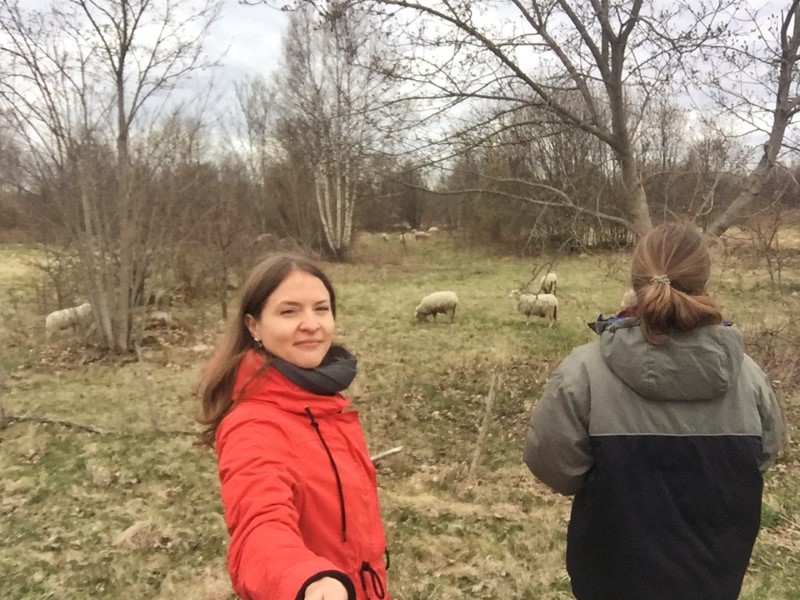 Путешествие по островам Эстонии:Муху, Саарема