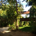 Медитационный центр Дипабхаван на острове Самуи – повесть о семидневном ретрите